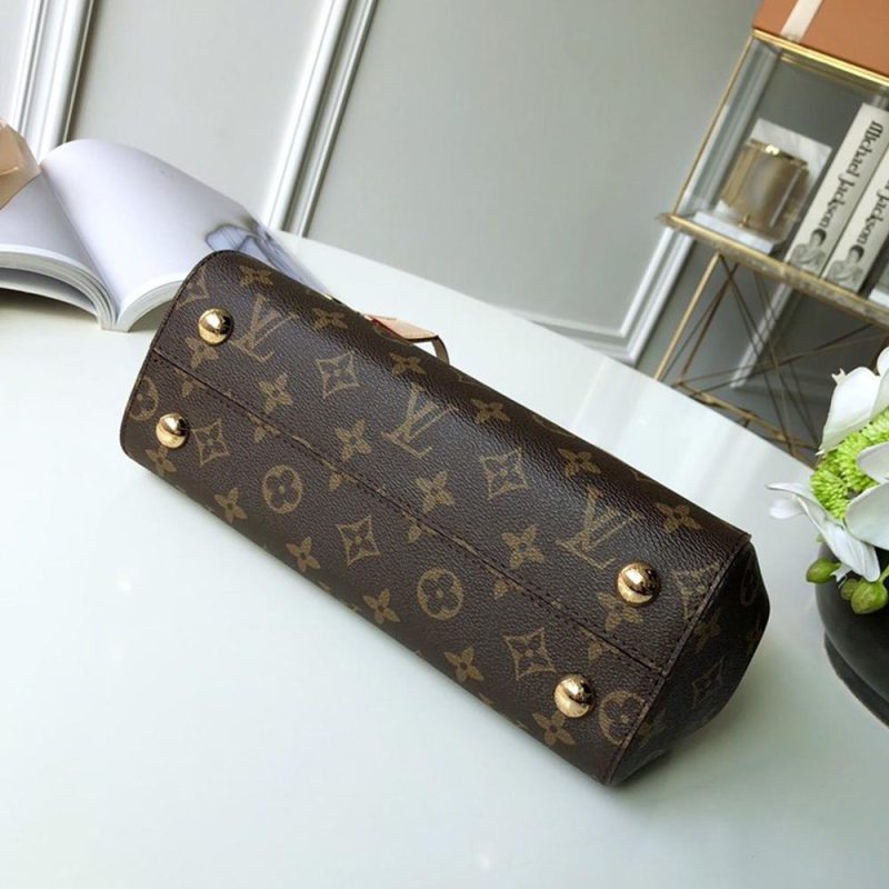 Louis Vuitton CLUNY BB - Image 6