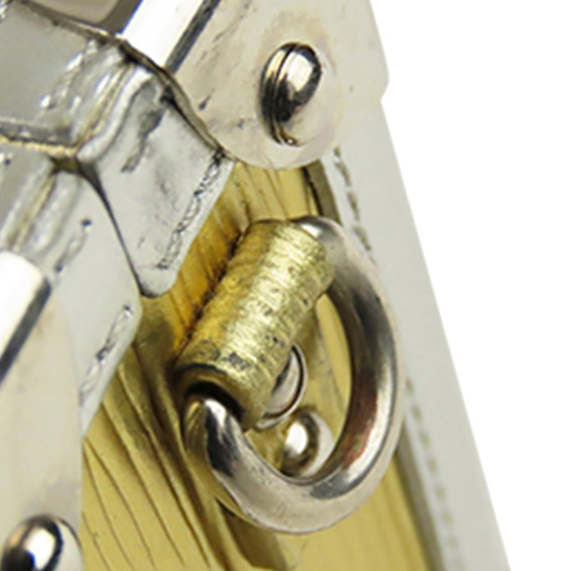 Louis Vuitton Petite Malle Gold Epi - Image 9