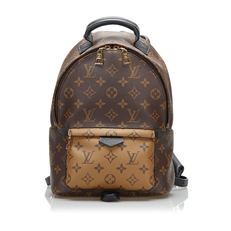 Louis Vuitton Palm Springs Backpack PM Monogram Reverse - Image 10