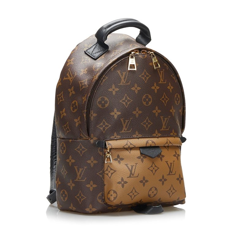 Louis Vuitton Palm Springs Backpack PM Monogram Reverse