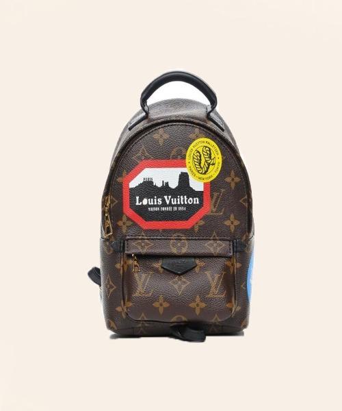 Louis Vuitton Palm Springs World Tour Backpack Mini Monogram