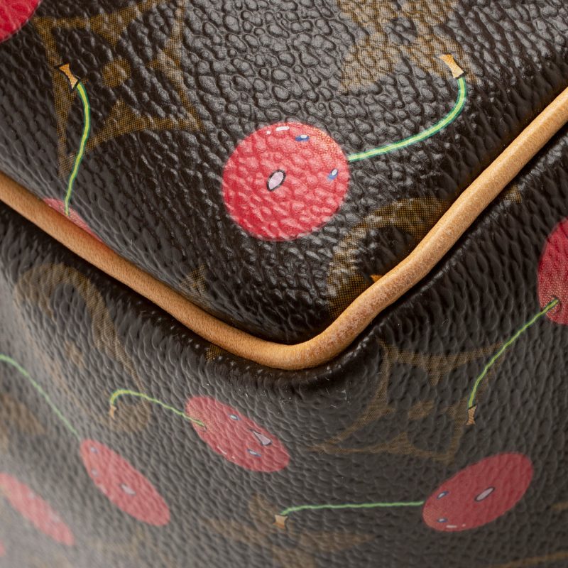 Louis Vuitton Limited Edition Cerises Speedy 25 Satchel (SHF-22166) - Image 14