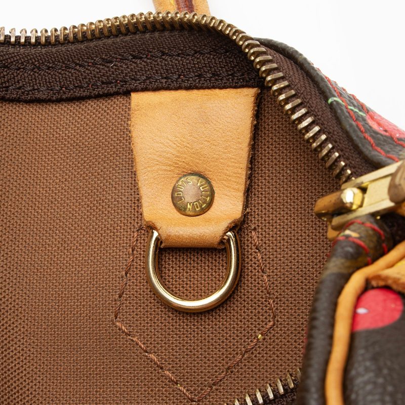 Louis Vuitton Limited Edition Monogram Canvas Cerises Speedy 25 Satchel (SHF-CSMshZ) - Image 9