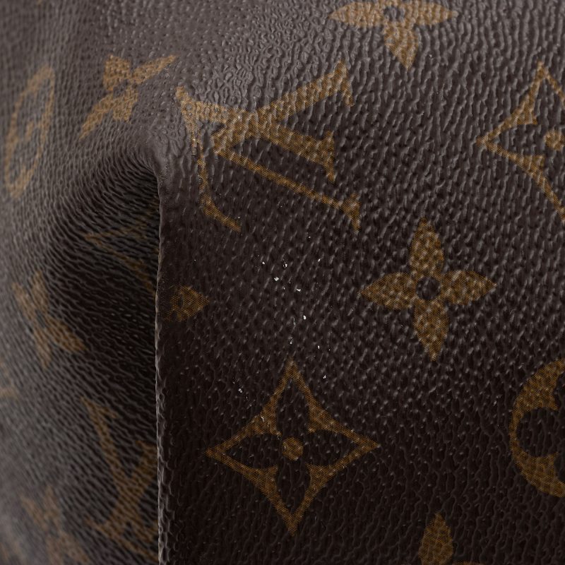 Louis Vuitton Monogram Canvas All-In MM Tote (SHF-3SImYd) - Image 14