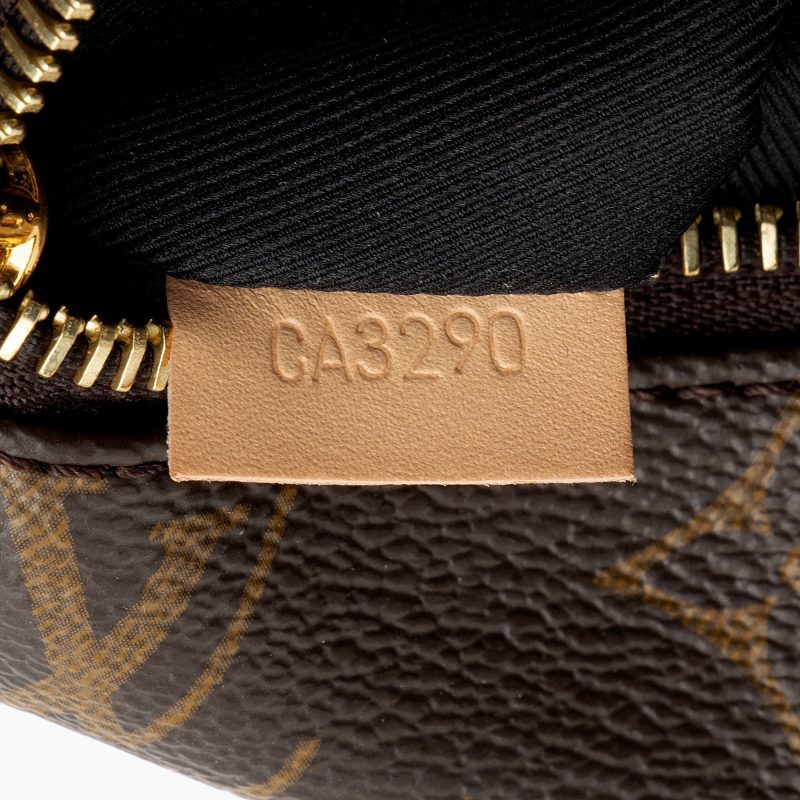 Louis Vuitton Monogram Canvas Bumbag (SHF-jnv8ax) - Image 5