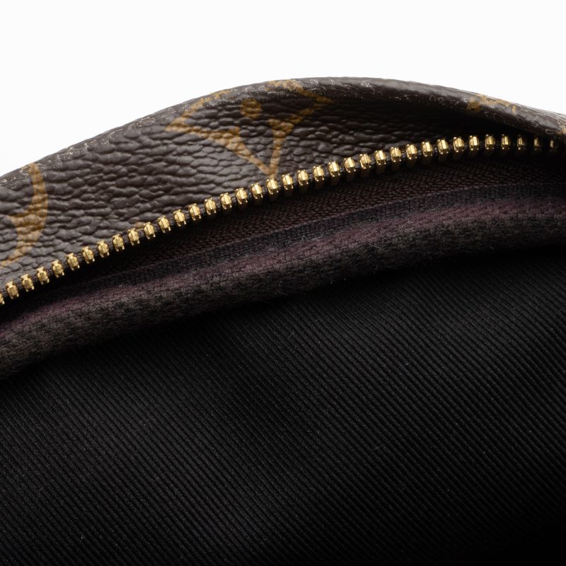 Louis Vuitton Monogram Canvas Bumbag (SHF-jnv8ax) - Image 10