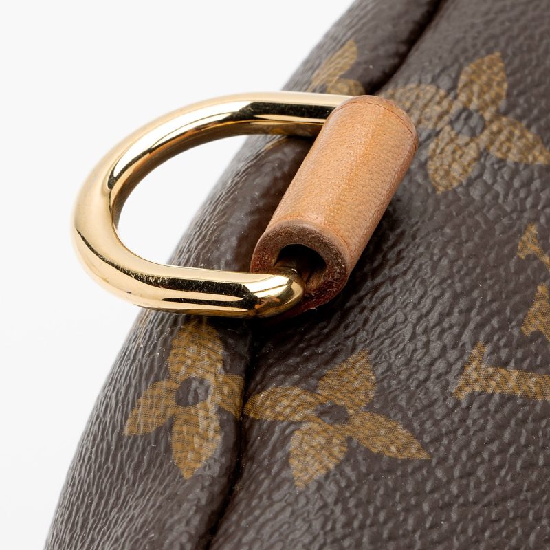 Louis Vuitton Monogram Canvas Bumbag (SHF-jnv8ax) - Image 11