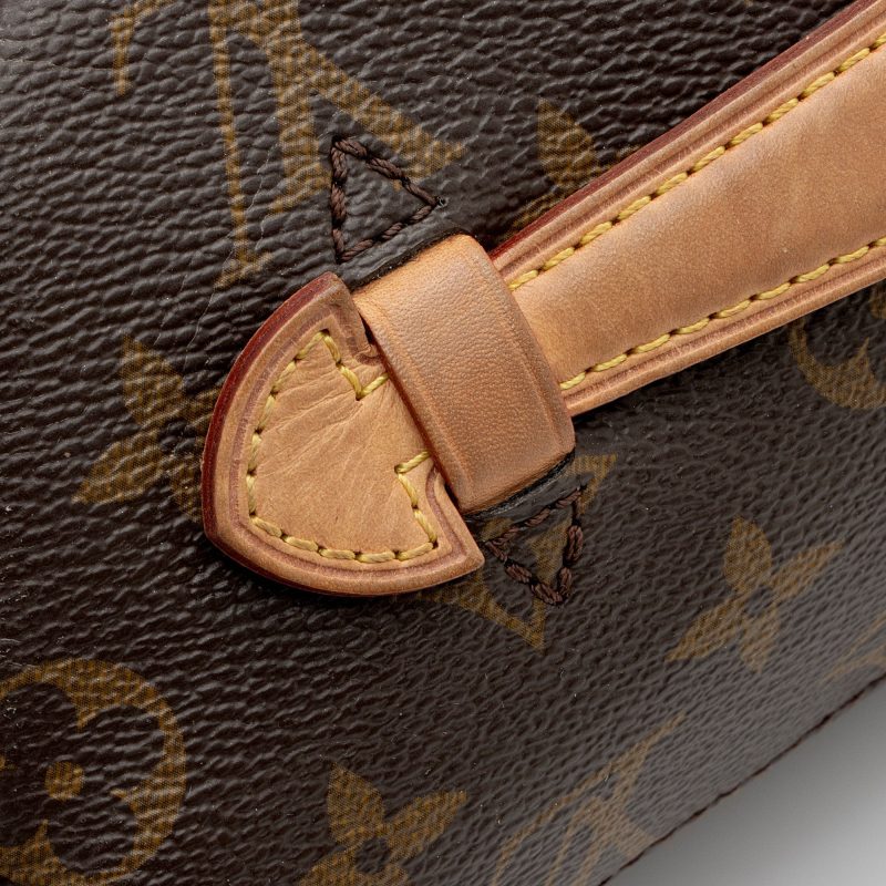 Louis Vuitton Monogram Canvas Bumbag (SHF-jnv8ax) - Image 14