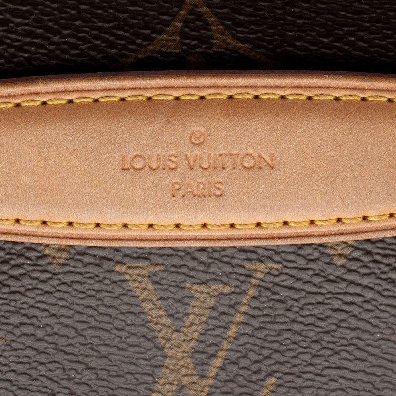 Louis Vuitton Monogram Canvas Bumbag (SHF-jnv8ax) - Image 18