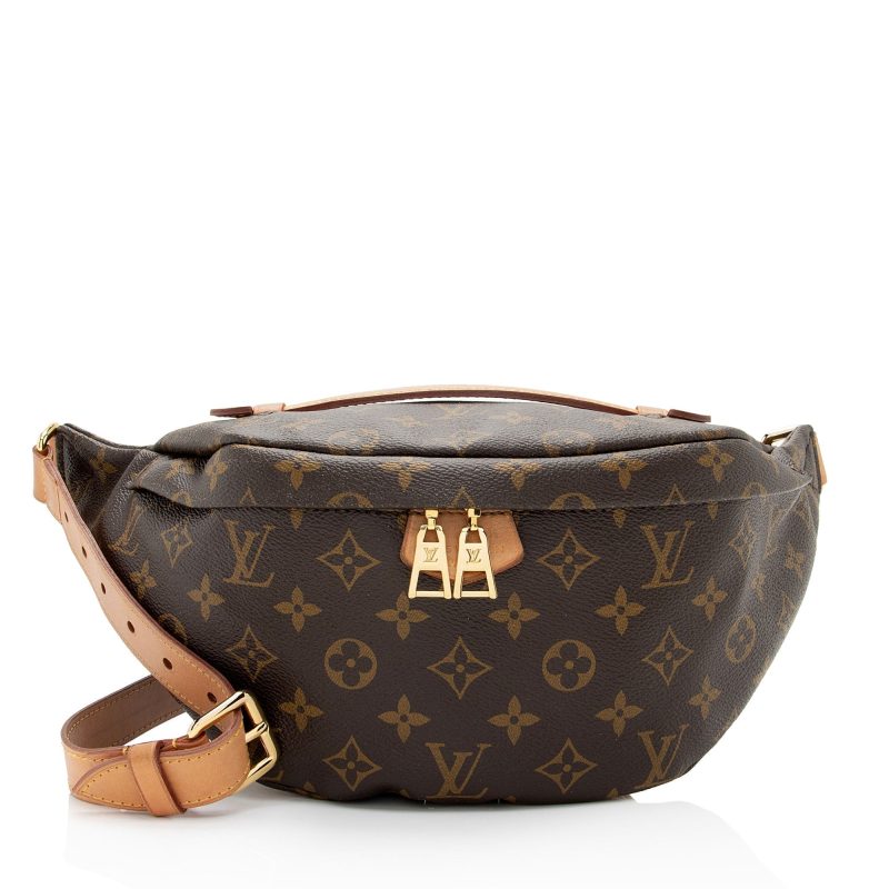 Louis Vuitton Monogram Canvas Bumbag (SHF-jnv8ax) - Image 19