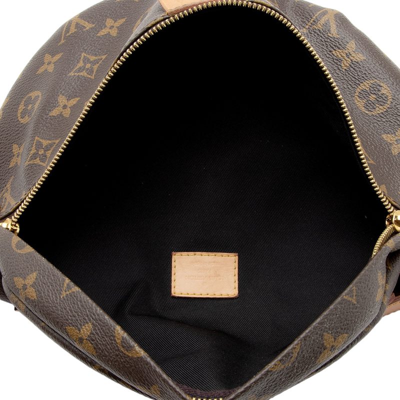 Louis Vuitton Monogram Canvas Bumbag (SHF-jnv8ax) - Image 6