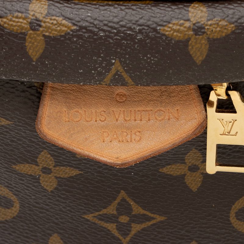 Louis Vuitton Monogram Canvas Bumbag (SHF-jnv8ax) - Image 8