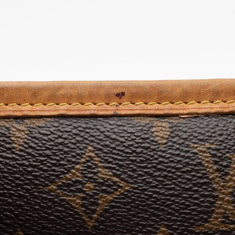 Louis Vuitton Monogram Canvas Delightful GM Shoulder Bag (SHF-vimQ1R) - Image 10
