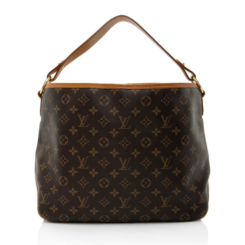 Louis Vuitton Monogram Canvas Delightful PM Shoulder Bag (SHF-TcP7UC) - Image 2