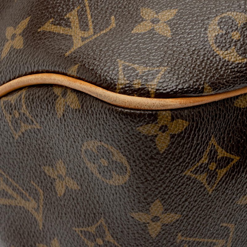 Louis Vuitton Monogram Canvas Delightful PM Shoulder Bag (SHF-TcP7UC) - Image 16