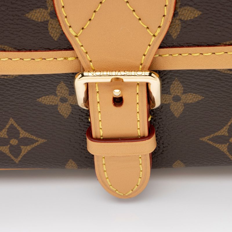 Louis Vuitton Monogram Canvas Diane Satchel (SHF-JwIGV6) - Image 8