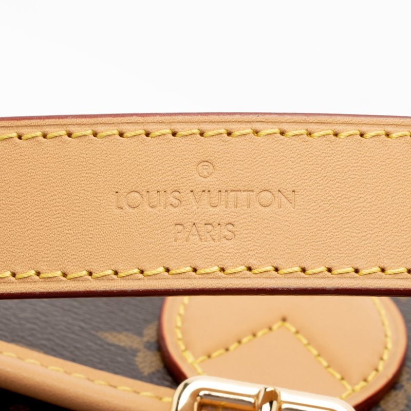 Louis Vuitton Monogram Canvas Diane Satchel (SHF-JwIGV6) - Image 7