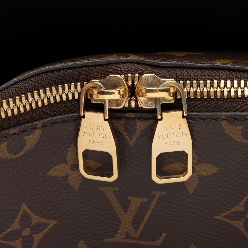 Louis Vuitton Monogram Canvas Flower MM Zip Tote (SHF-Kg9eLW) - Image 8
