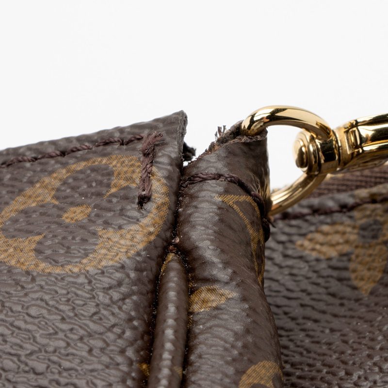 Louis Vuitton Monogram Canvas Multi-Pochette Accessoires (SHF-vSFJfd) - Image 17