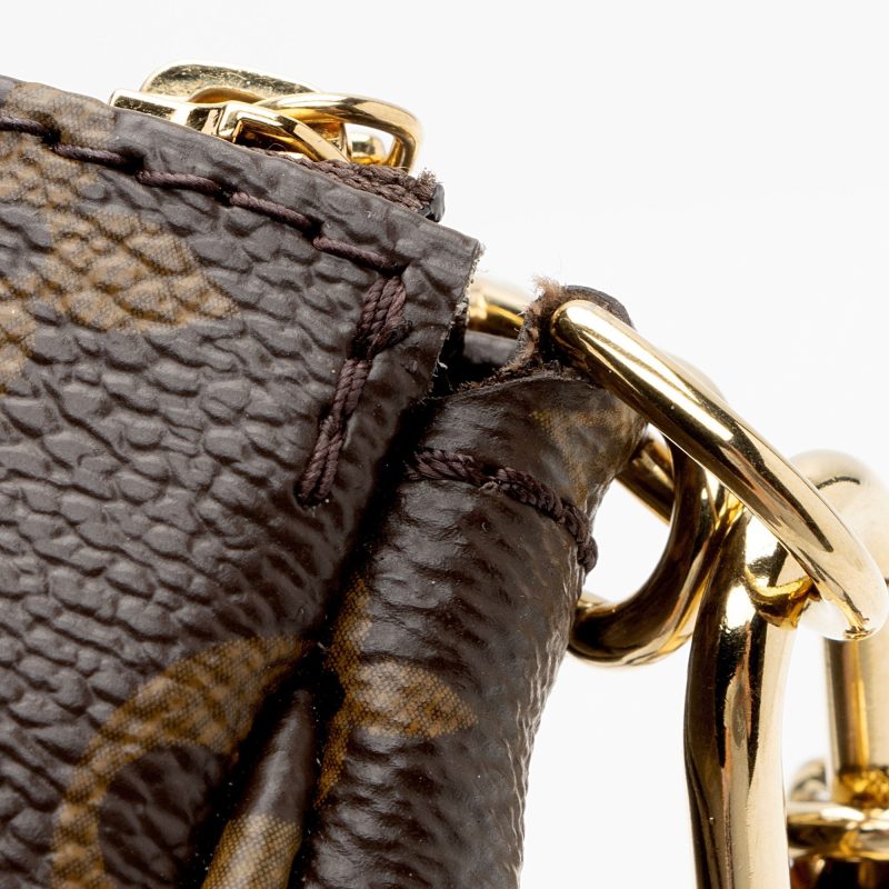 Louis Vuitton Monogram Canvas Multi-Pochette Accessoires (SHF-vSFJfd) - Image 18