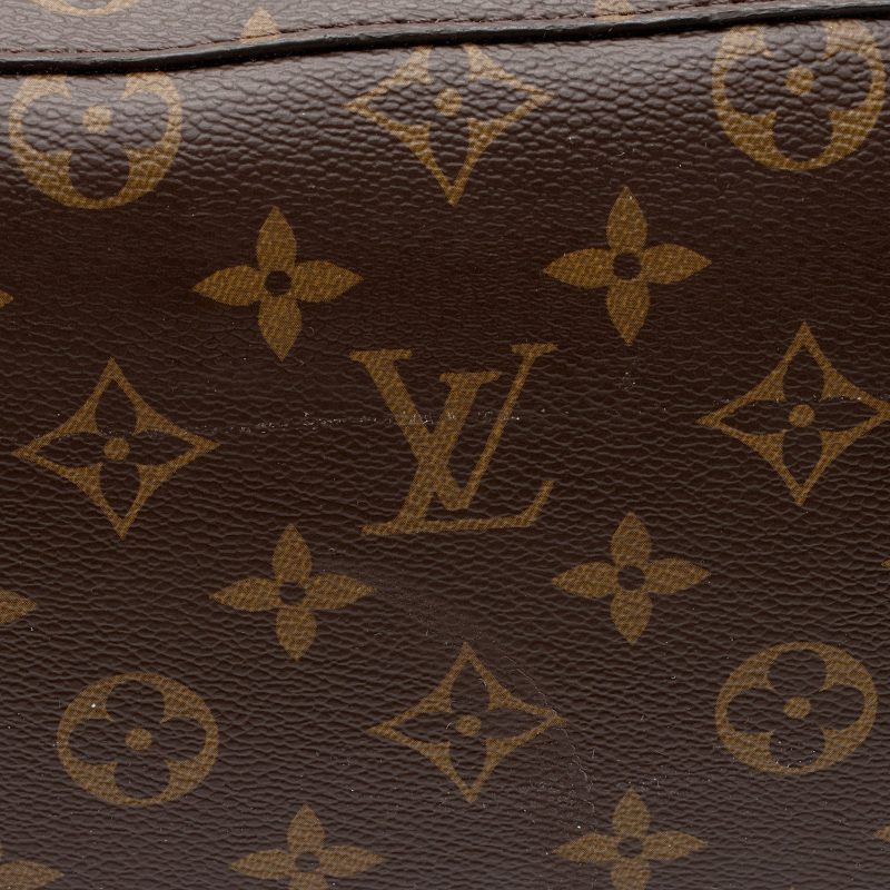 Louis Vuitton Monogram Canvas Neonoe Shoulder Bag (SHF-3Aiqhi) - Image 16