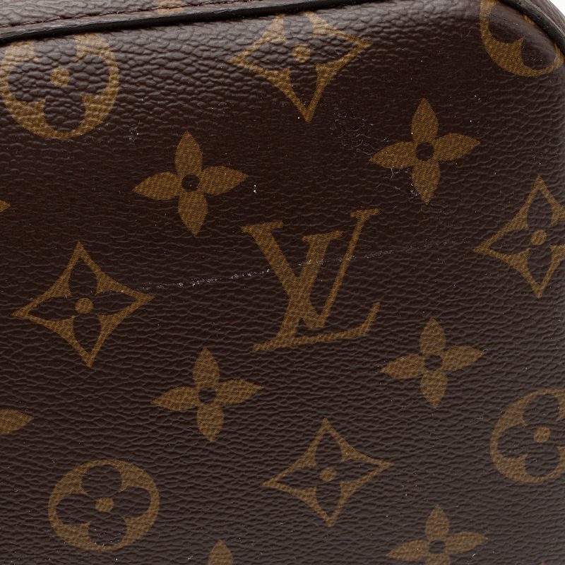 Louis Vuitton Monogram Canvas Neonoe Shoulder Bag (SHF-3Aiqhi) - Image 17
