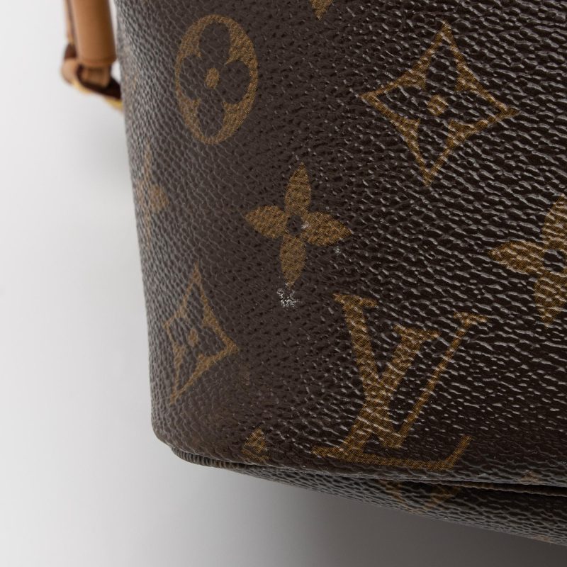 Louis Vuitton Monogram Canvas Neverfull MM Tote (SHF-iwDHmu) - Image 11