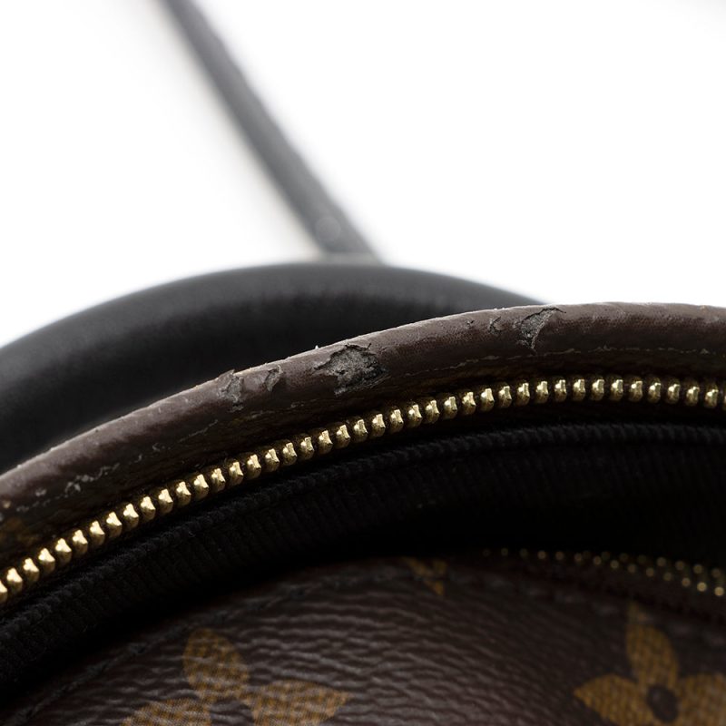 Louis Vuitton Monogram Canvas Palm Springs Mini Backpack (SHF-20573) - Image 10
