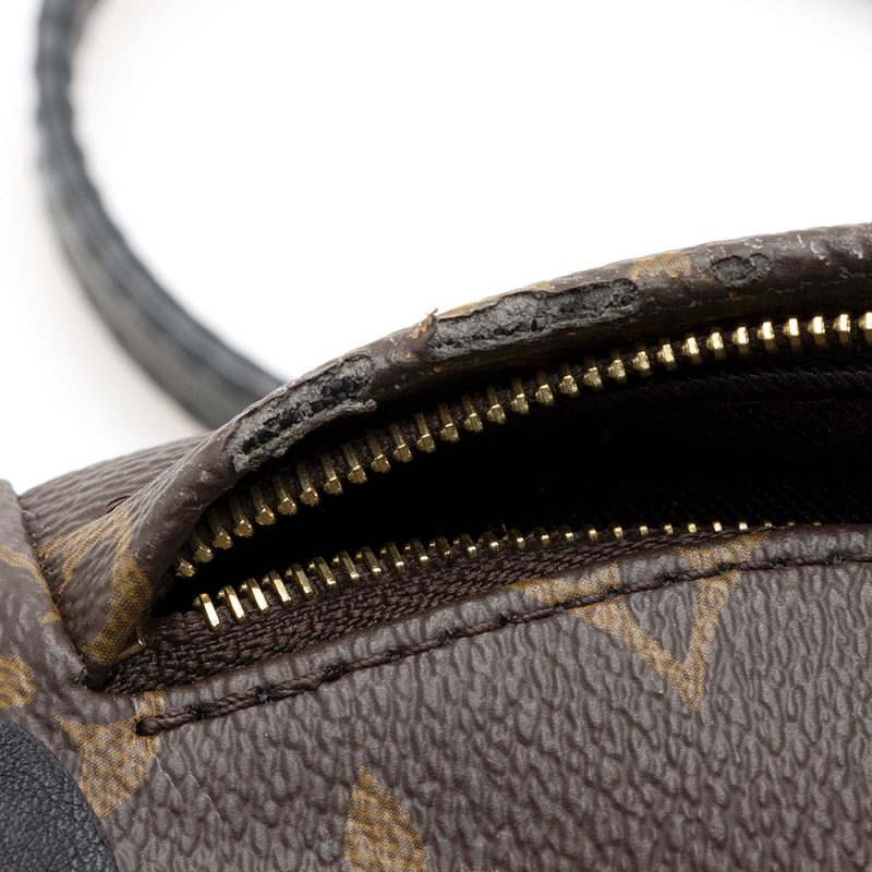 Louis Vuitton Monogram Canvas Palm Springs Mini Backpack (SHF-20573) - Image 11