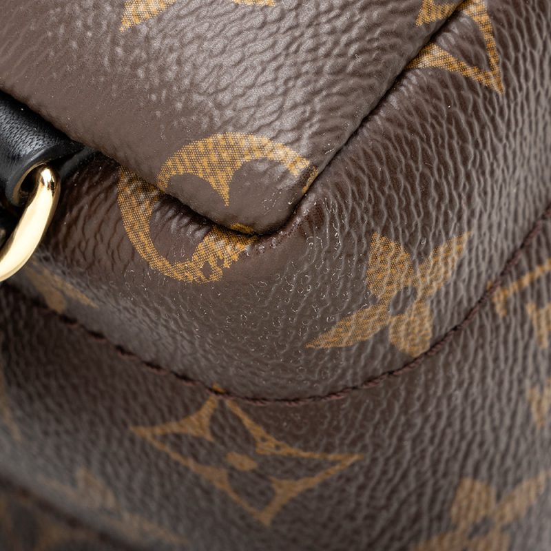 Louis Vuitton Monogram Canvas Palm Springs Mini Backpack (SHF-20573) - Image 12