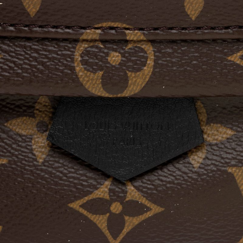 Louis Vuitton Monogram Canvas Palm Springs Mini Backpack (SHF-53Gd7K) - Image 7