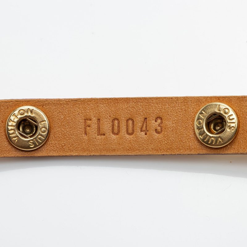 Louis Vuitton Monogram Canvas Pochette Florentine Small Belt Bag (SHF-YFDE2f) - Image 9