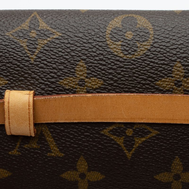 Louis Vuitton Monogram Canvas Pochette Florentine Small Belt Bag (SHF-YFDE2f) - Image 13