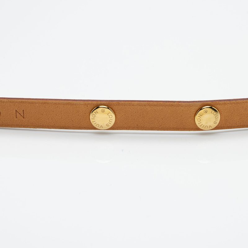 Louis Vuitton Monogram Canvas Pochette Florentine Small Belt Bag (SHF-YFDE2f) - Image 14