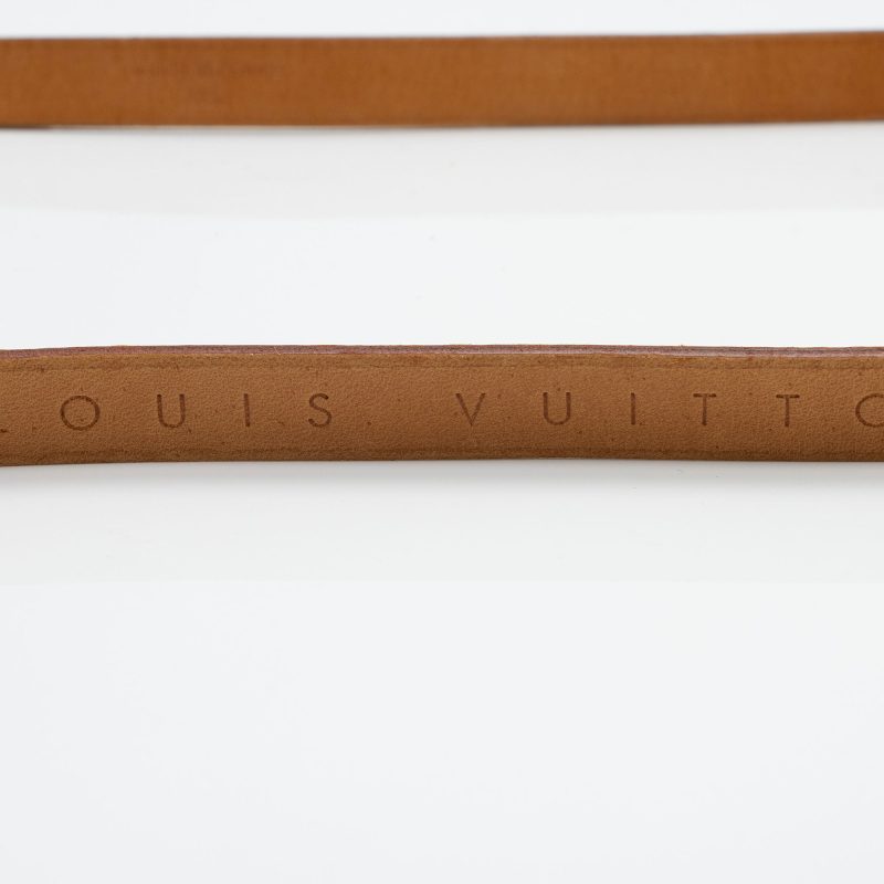 Louis Vuitton Monogram Canvas Pochette Florentine Small Belt Bag (SHF-YFDE2f) - Image 16