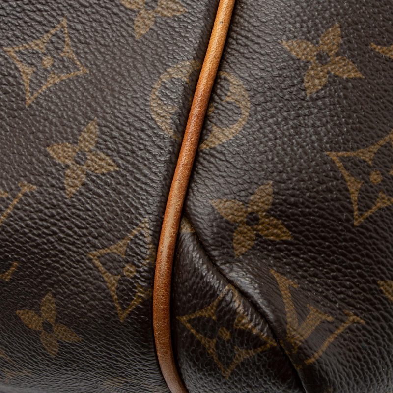 Louis Vuitton Monogram Canvas Totally MM Tote (SHF-7vne0i) - Image 19