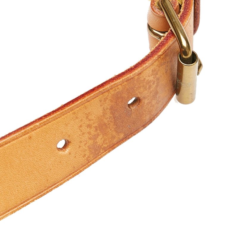 Louis Vuitton Monogram Cartouchiere PM (SHG-32396) - Image 10