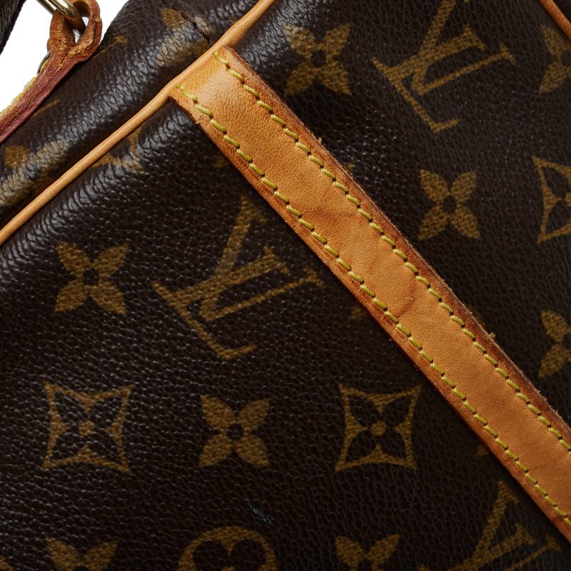 Louis Vuitton Monogram Danube (SHG-HpWRAg) - Image 9