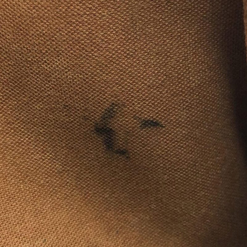 Louis Vuitton Monogram Eva (SHG-6tbLGo) - Image 9