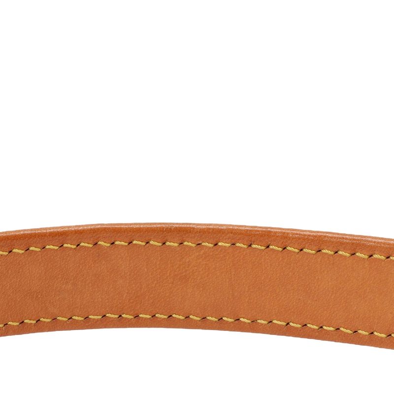 Louis Vuitton Monogram Mat Alston (SHG-36883) - Image 4