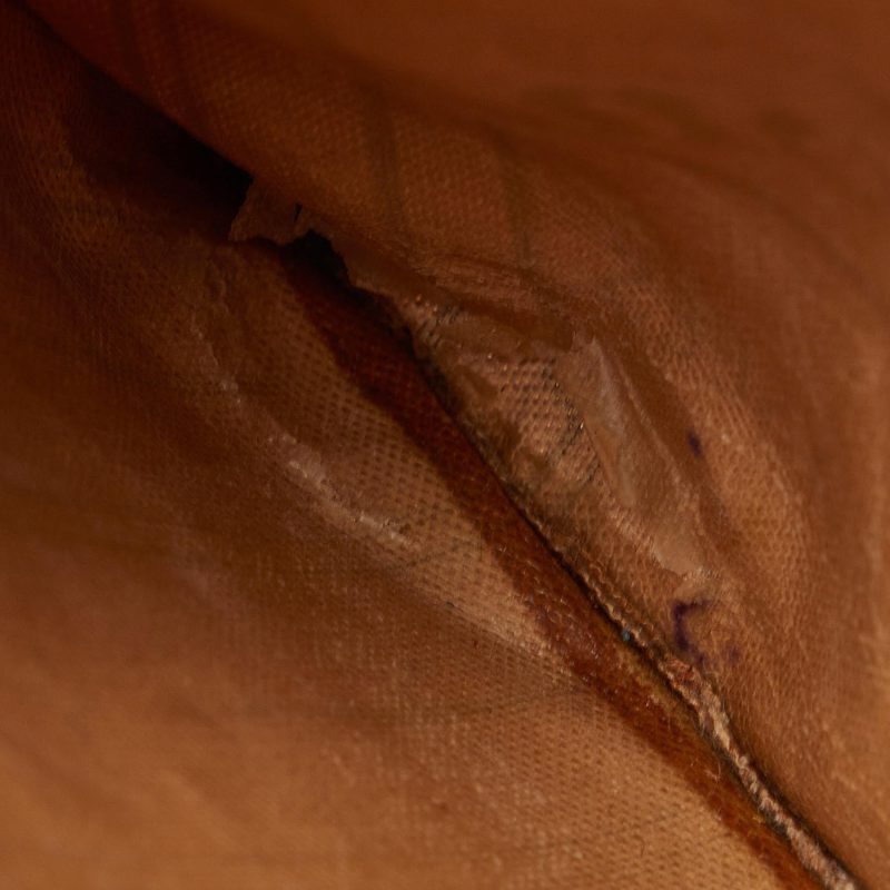 Louis Vuitton Monogram Neverfull PM (SHG-qbiade) - Image 6