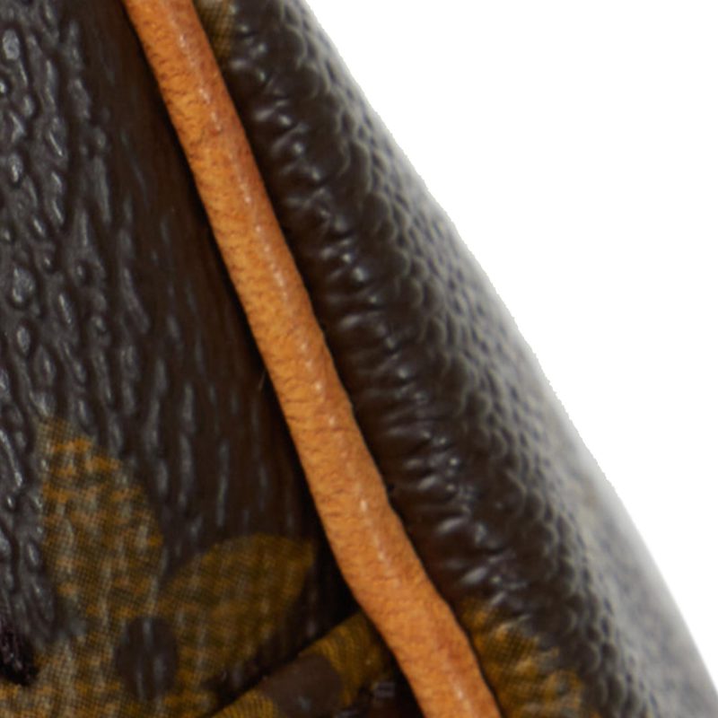 Louis Vuitton Monogram Nile (SHG-WSeZMS) - Image 13