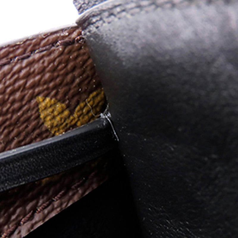 Louis Vuitton Monogram Noe Fringe - Image 7