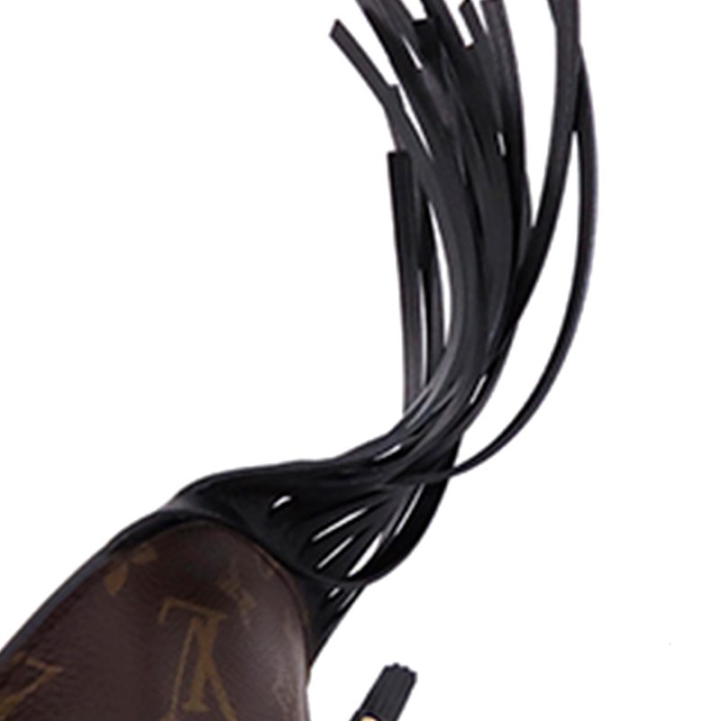 Louis Vuitton Monogram Noe Fringe - Image 11