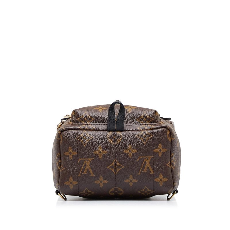 Louis Vuitton Monogram Palm Springs Mini (SHG-2nZ70X) - Image 3