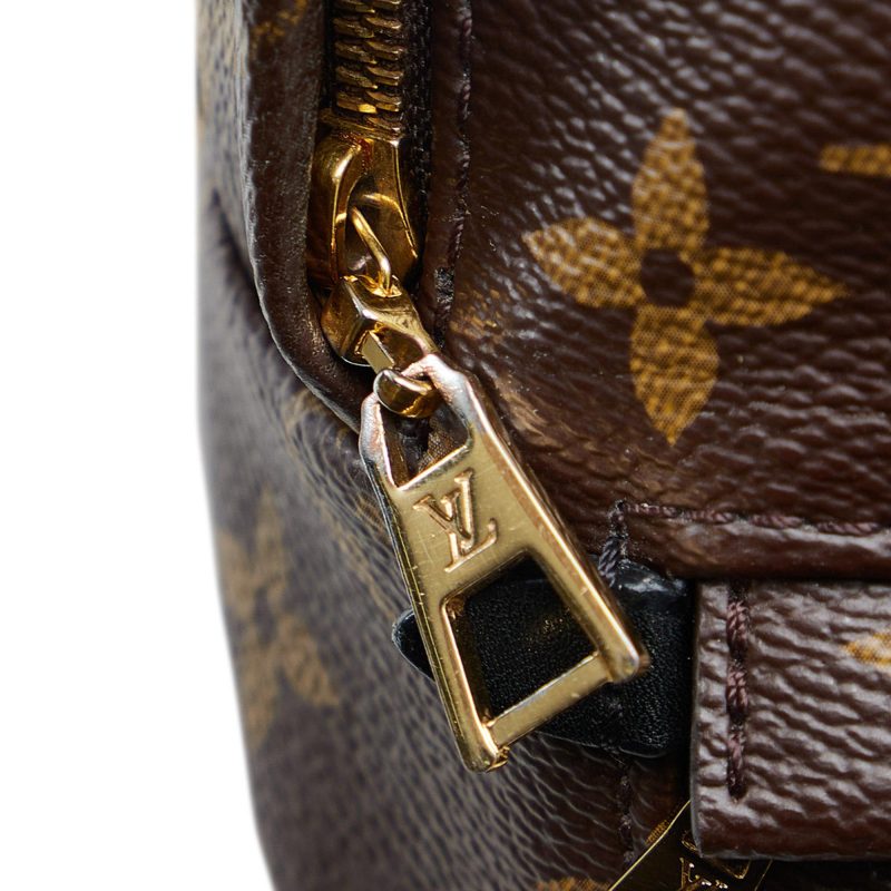 Louis Vuitton Monogram Palm Springs Mini (SHG-2nZ70X) - Image 8