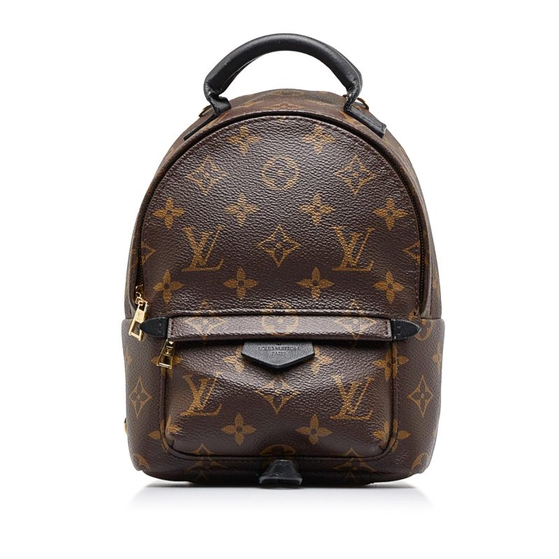Louis Vuitton Monogram Palm Springs Mini (SHG-2nZ70X) - Image 9