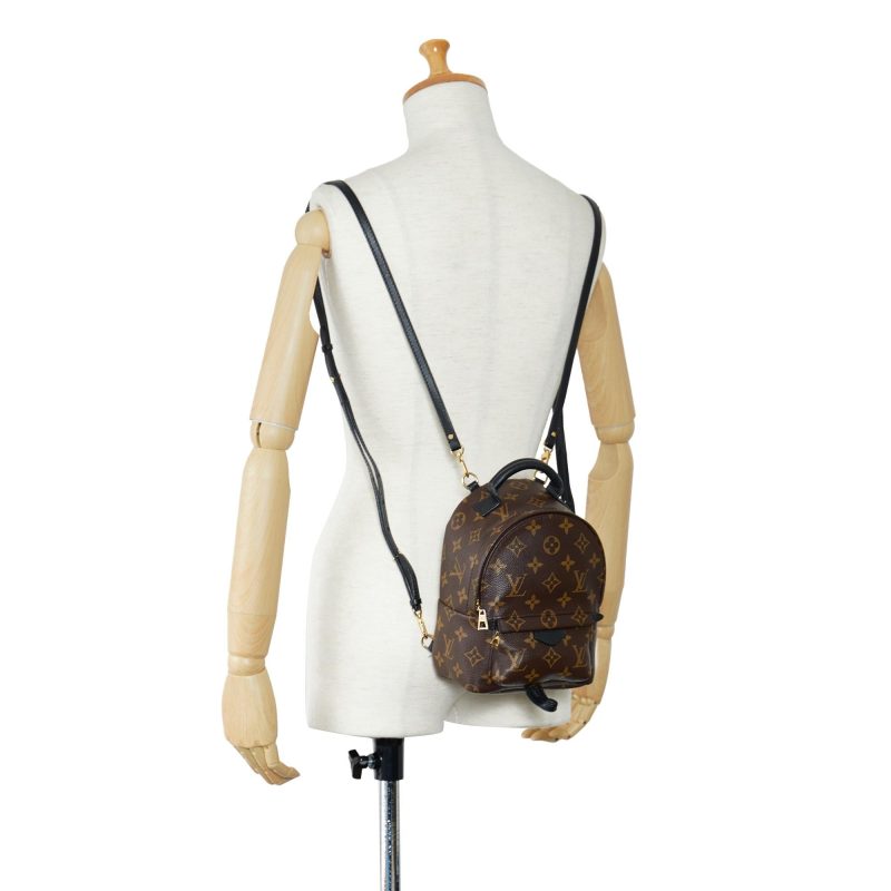 Louis Vuitton Monogram Palm Springs Mini (SHG-2nZ70X) - Image 4