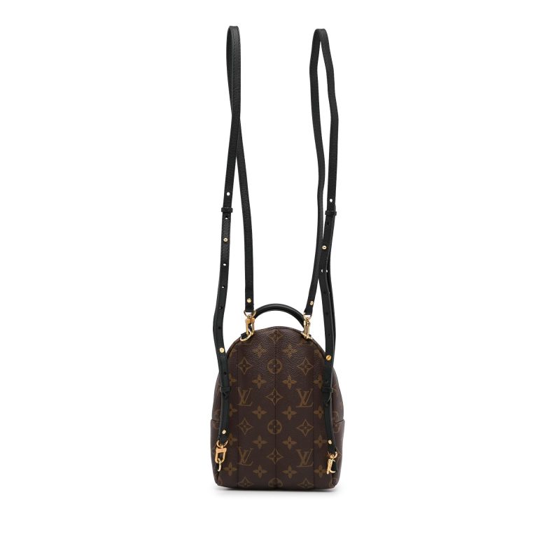 Louis Vuitton Monogram Palm Springs PM (SHG-rrsyfX) - Image 2