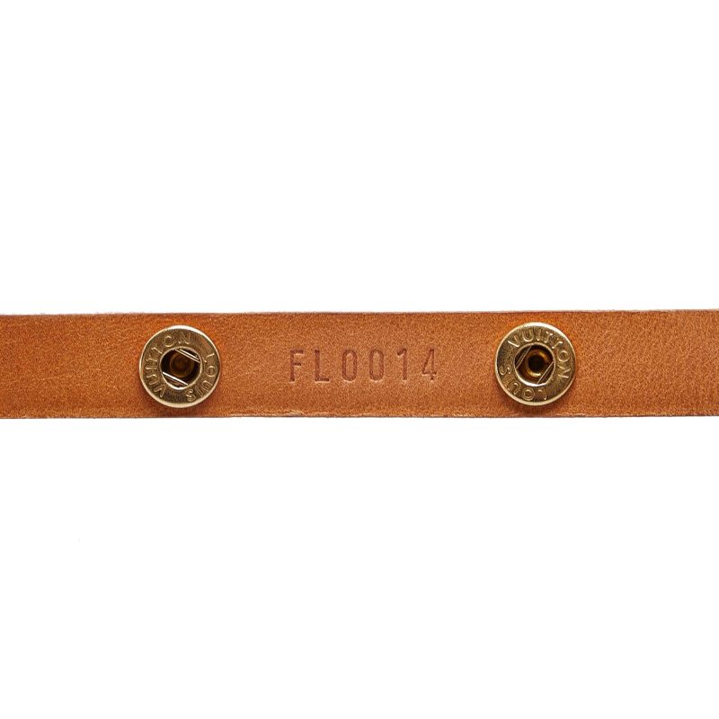 Louis Vuitton Monogram Pochette Florentine (SHG-aUVAme) - Image 9